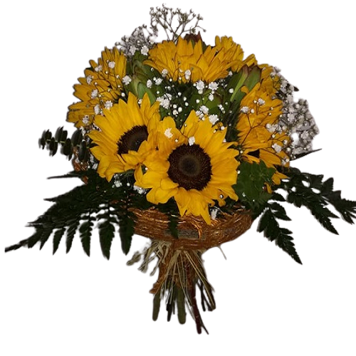 /fileuploads/Produtos/Bouquets e Ramos/thumb_florista_jusart_flores_plantas_rosas_jardim_Bouquets e ramos 8 1 (25).png